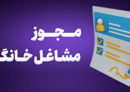 اقدام دولت در صدور آنلاین مجوز مشاغل خانگی قابل تحسین است