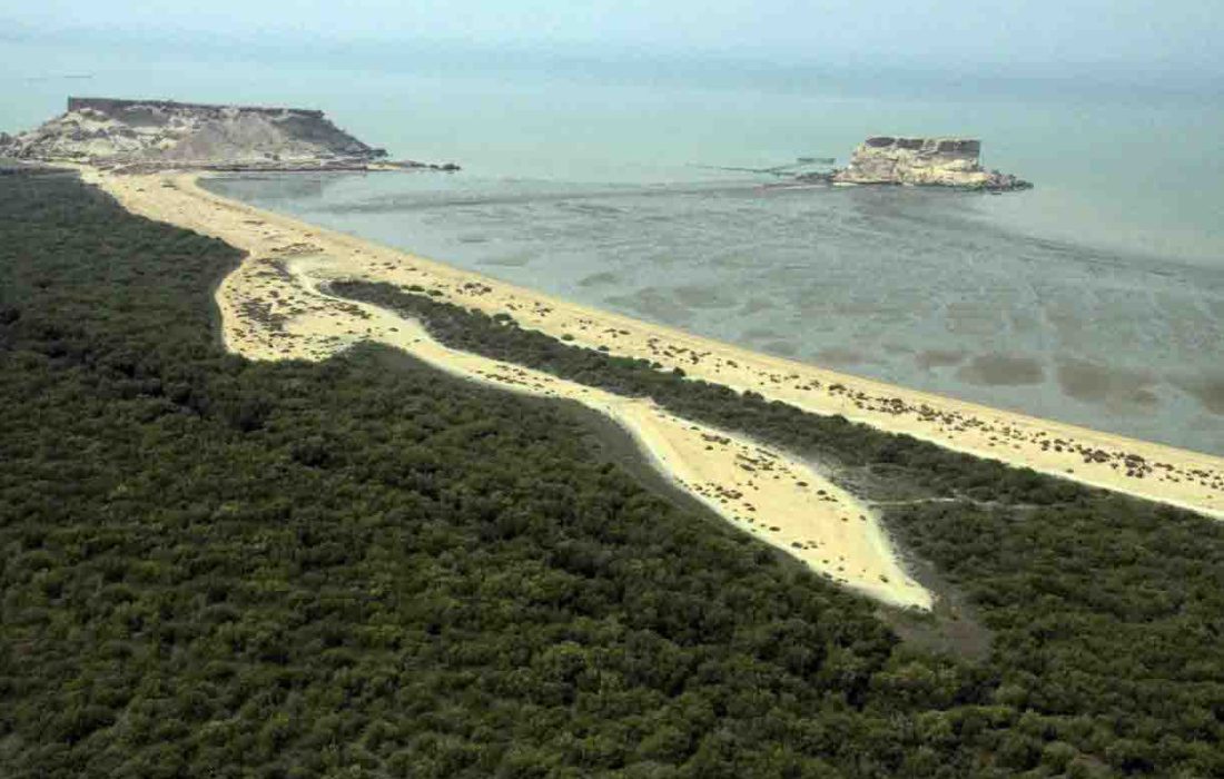 هیچ اراضی در سواحل ریگو جزیره قشم در دولت سیزدهم واگذار نشده است