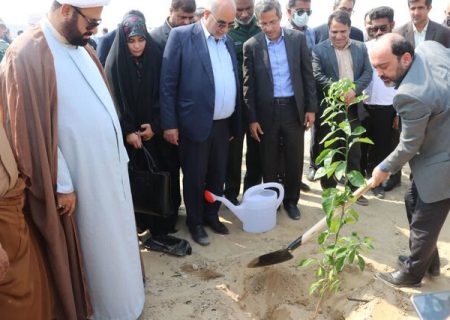 زنجیره درختان اکالیپتوس در هرمزگان توسعه می‌یابد