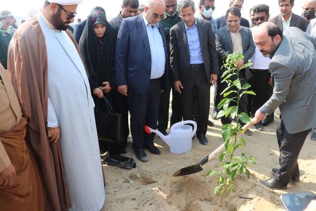 زنجیره درختان اکالیپتوس در هرمزگان توسعه می‌یابد