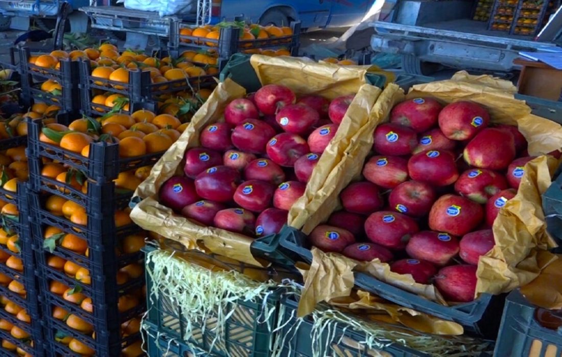 ذخیره سازی۲۰۰ تُن میوه شب عید در هرمزگان