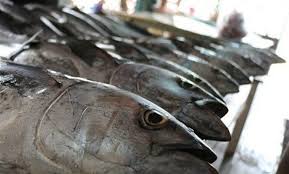 عرضه انواع ماهی با نرخ تعاونی در بازار روز صادقیه بندرعباس