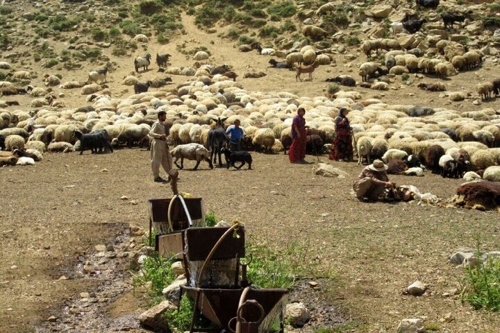 تسهیلات بانکی برای عشایر هرمزگان ۲ برابر شد